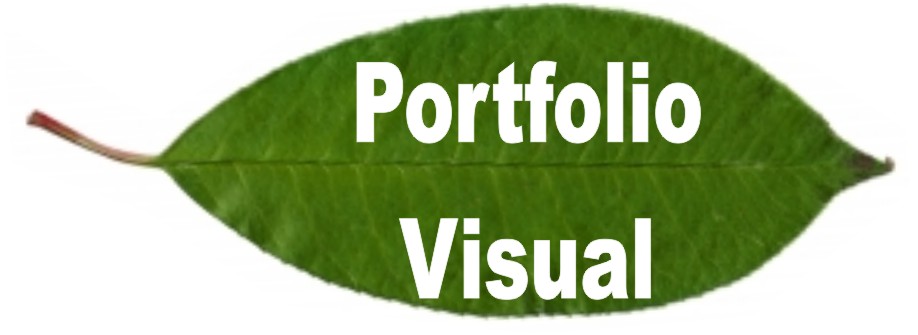 Portfolio Virtual